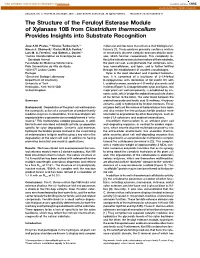 The Structure of the Feruloyl Esterase Module of Xylanase 10B from Clostridium Thermocellum Provides Insights Into Substrate Recognition