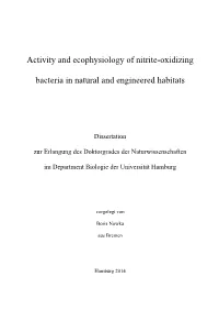 Activity and Ecophysiology of Nitrite-Oxidizing Bacteria in Natural