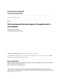 The Functional and Structural Analysis of Drosophila Robo2 in Axon Guidance