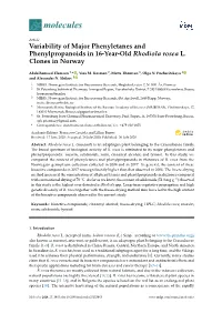 Variability of Major Phenyletanes and Phenylpropanoids in 16-Year-Old Rhodiola Rosea L