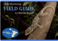 Gecko Monitoring FIELD GUIDE for Motuihe Island Copyright © 2017 Motuihe Island Restoration Trust April 2017