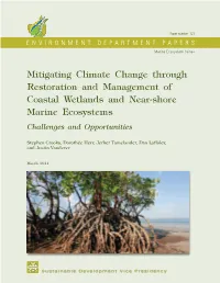 Mitigating Climate Change Through