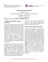 Normal Pancreatic Function 1. What Are the Functions of the Pancreas?