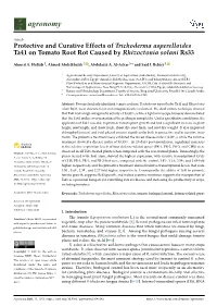 Protective and Curative Effects of Trichoderma Asperelloides Ta41 on Tomato Root Rot Caused by Rhizoctonia Solani Rs33