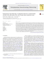 Early Jurassic Microbial Mats—A Potential Response to Reduced Biotic Activity in the Aftermath of the End-Triassic Mass Extinction Event