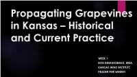 Propagating Grapevines in Kansas – Historical and Current Practice