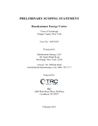 Preliminary Scoping Statement