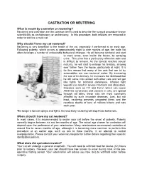 Castration Or Neutering
