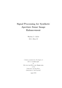 Signal Processing for Synthetic Aperture Sonar Image Enhancement