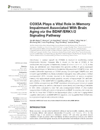 COX5A Plays a Vital Role in Memory Impairment Associated with Brain Aging Via the BDNF/ERK1/2 Signaling Pathway