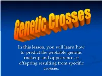 In This Lesson, You Will Learn How to Predict the Probable Genetic Makeup and Appearance of Offspring Resulting from Specific Cr