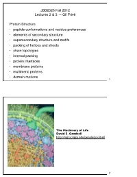 JBB2026 Fall 2012 Lectures 2 & 3 -- Gil Privé Protein Structure • Peptide
