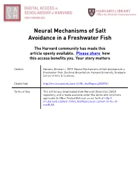 Neural Mechanisms of Salt Avoidance in a Freshwater Fish