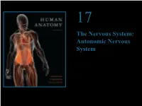 Autonomic Nervous System