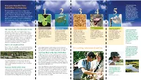Envirothon Brochure