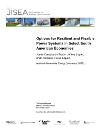 Options for Resilient and Flexible Power Systems in Select South American Economies