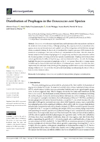 Distribution of Prophages in the Oenococcus Oeni Species