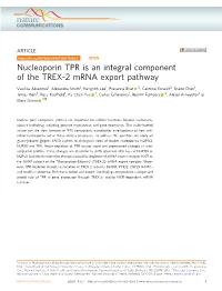 Nucleoporin TPR Is an Integral Component of the TREX-2 Mrna Export Pathway