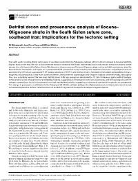 Oligocene Strata in the South Sistan Suture Zone, Southeast Iran: Implications for the Tectonic Setting