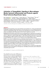 Activation of Sympathetic Signaling in Macrophages Blocks Systemic Inﬂammation and Protects Against Renal Ischemia-Reperfusion Injury