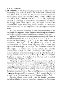 ETYMOLOGY. the Coptic Language Comprises an Autochthonous