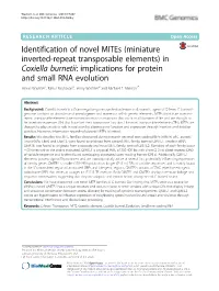 In Coxiella Burnetii: Implications for Protein and Small RNA Evolution Shaun Wachter1, Rahul Raghavan2, Jenny Wachter3 and Michael F
