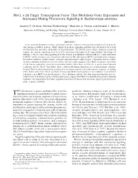 Mot3, a Zn Finger Transcription Factor That Modulates Gene Expression and Attenuates Mating Pheromone Signaling in Saccharomyces Cerevisiae