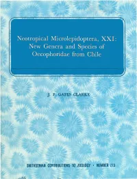 Neotropical Microlepidoptera, XXI: New Genera and Species of Oecophoridae from Chile