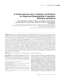 A Parthenogenesis Gene Candidate and Evidence for Segmental Allopolyploidy in Apomictic Brachiaria Decumbens