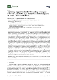 Exploring Opportunities for Promoting Synergies Between Climate Change Adaptation and Mitigation in Forest Carbon Initiatives