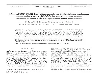 Use of RT-PCR for Diagnosis of Infectious Salmon Anaemia Virus (ISAV) in Carrier Sea Trout Salmo Trutta After Experimental Infection