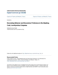 Decorating Behavior and Decoration Preference in the Masking Crab, Loxorhynchus Crispatus