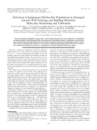 Detection of Indigenous Halobacillus Populations in Damaged Ancient