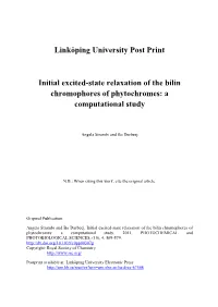 Initial Excited-State Relaxation of the Bilin Chromophores of Phytochromes: a Computational Study