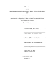 A Dissertation Entitled Characterization of a Novel
