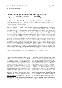 Characterisation, Localisation and Expression of Porcine TACR1, TACR2 and TACR3 Genes