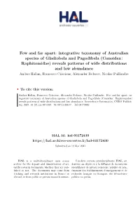 Few and Far Apart: Integrative Taxonomy of Australian Species Of