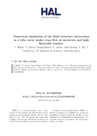 Numerical Simulation of the Fluid–Structure Interaction in a Tube Array Under Cross Flow at Moderate and High Reynolds Number V