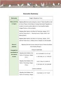 Executive Summary