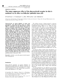 The Tumor Suppressor Effect of the Glucocorticoid Receptor in Skin Is Mediated Via Its Effect on Follicular Epithelial Stem Cells
