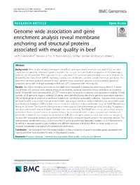 Genome Wide Association and Gene Enrichment Analysis Reveal Membrane Anchoring and Structural Proteins Associated with Meat Quality in Beef Joel D