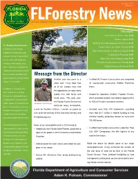 Message from the Director
