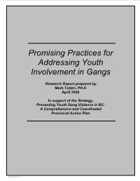 Promising Practices for Addressing Youth Involvement in Gangs