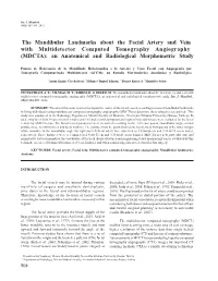 The Mandibular Landmarks About the Facial Artery and Vein With