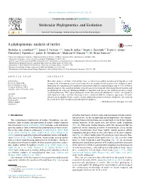 A Phylogenomic Analysis of Turtles ⇑ Nicholas G