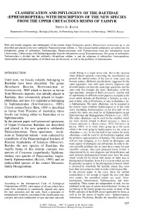 Classification and Phylogeny of the Baetidae (Ephemeroptera) with Description of the New Species from the Upper Cretaceous Resins of Taimyr