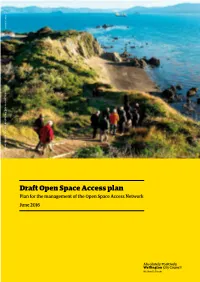 Draft Open Space Access Plan Document