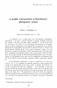 A Graphic Representation of Hutchinson's Phylogenetic System