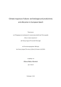 Climate Response of Above- and Belowground Productivity