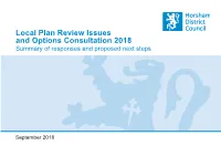 Local Plan Review Issues and Options Consultation 2018 Summary of Responses and Proposed Next Steps